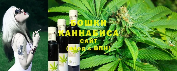 шишки Богородск