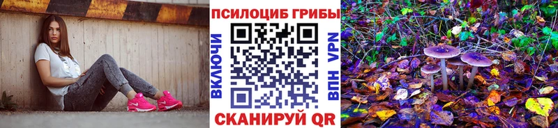 Псилоцибиновые грибы Cubensis  Нижний Тагил 